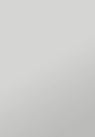 Supermatt Slab Kitchen Door kitchen door image