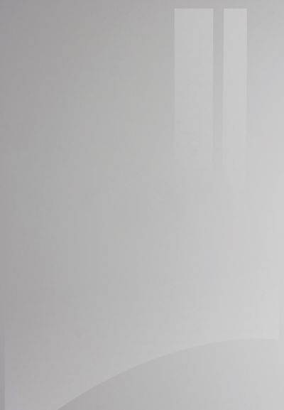 Ultra Gloss Slab Kitchen Door kitchen door image