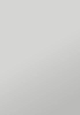 Supermatt Slab Kitchen kitchen door image