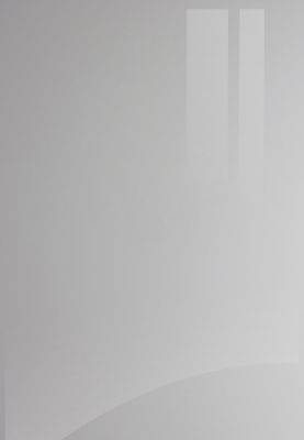 Ultra Gloss Slab Kitchen kitchen door image